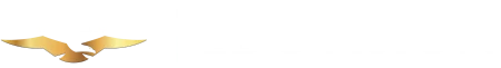 Logo Eduvison